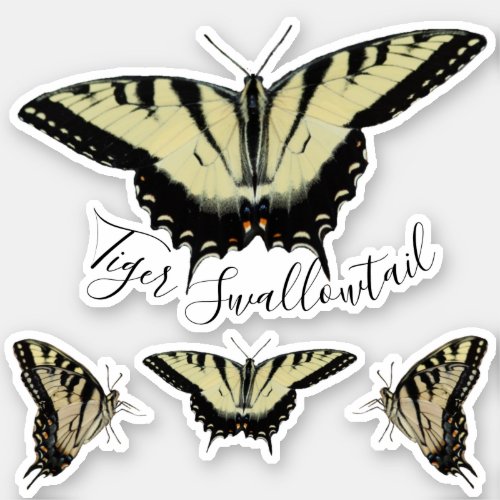 Tiger Swallowtail Butterfly Set Sticker