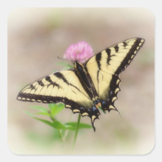 Tiger Swallowtail - Butterfly Square Sticker