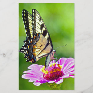 Tiger Swallowtail Butterfly Stationery