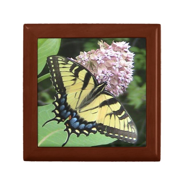 Tiger Swallowtail Butterfly Wood Jewelry Box (Front)