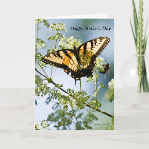 Tiger Swallowtail Mother's Day Card