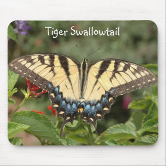 Tiger Swallowtail Mouse Pad