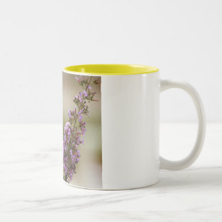 Tiger Swallowtail Mug