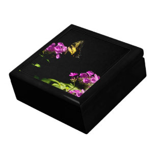 Tiger Swallowtail on Wild Phlox Gift Box
