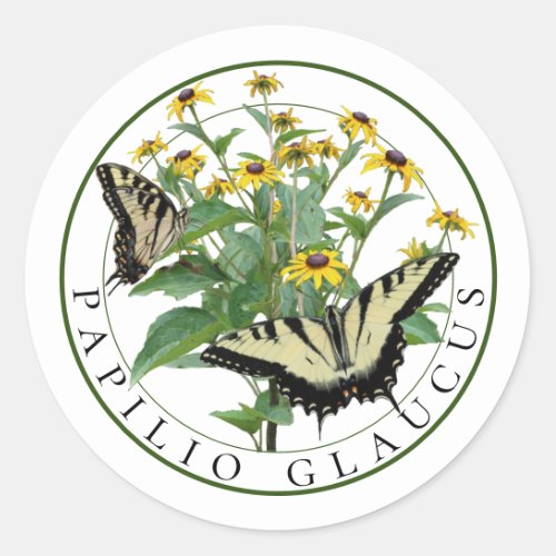 Tiger Swallowtails and Black Eyed Susan Rudbeckia Classic Round Sticker