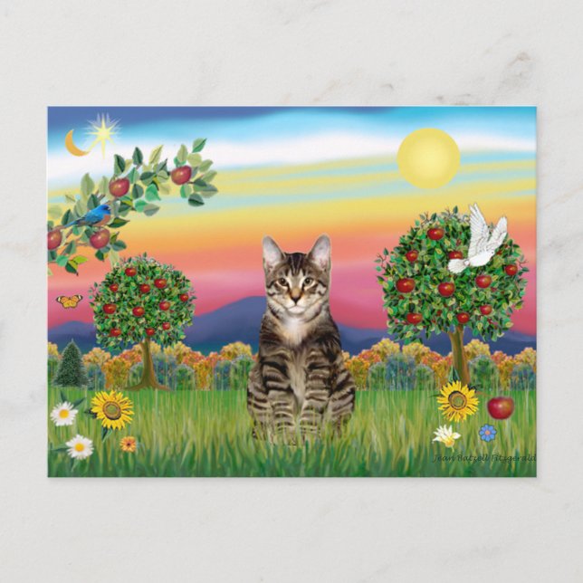 Tiger Tabby Cat 1 - Bright Country Postcard (Front)