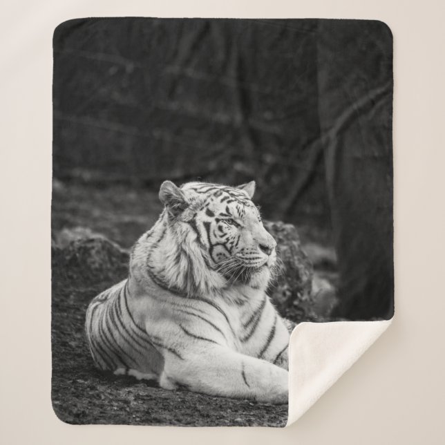 TIGER THINKING SHERPA BLANKET (Front)