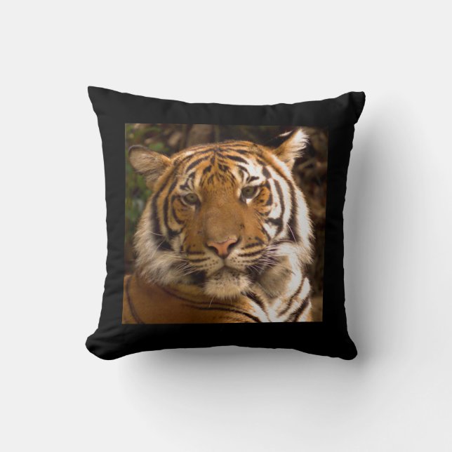 Tiger Throw Pillow (Front)