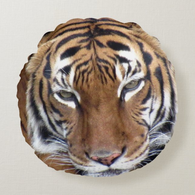 Tiger Throw Pillow  (Front)