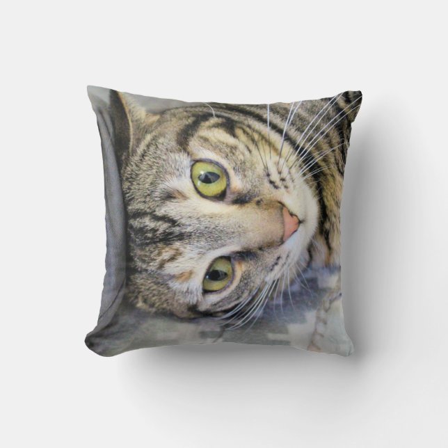 Tiger Throw Pillow (Front)