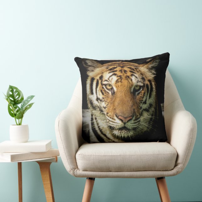 tiger throw pillow (Chair)