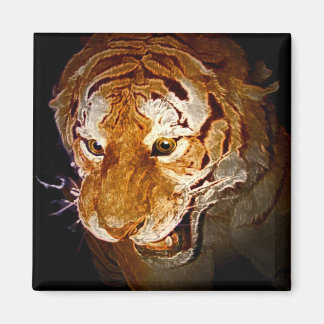 Tiger, Tiger In The Night... Magnet