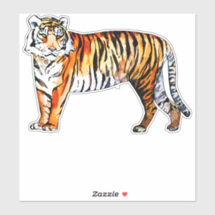 Tiger Tiger Sticker