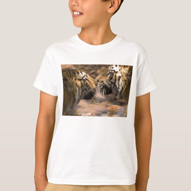 Tiger Tigers Cat Animal Stripes Pattern Paw Prints T-Shirt (Front)