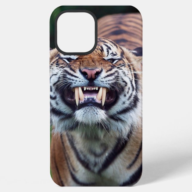 "Tiger Tooth" Iphone Case (Back)