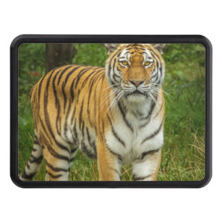 Tiger Trailer Hitch Cover