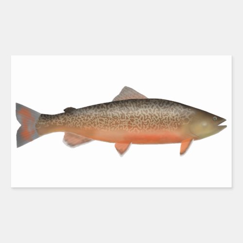 Tiger Trout Rectangular Sticker