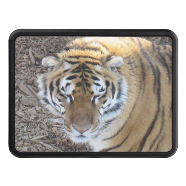 Tiger Truck Hitch Cover (Front)
