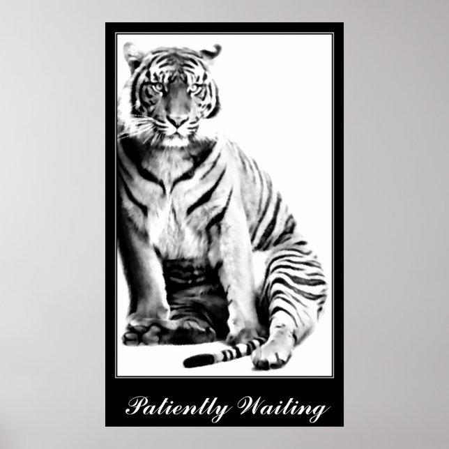 Tiger , Waiting_ Poster (Front)