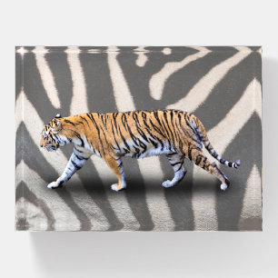 TIGER WALK PAPERWEIGHT