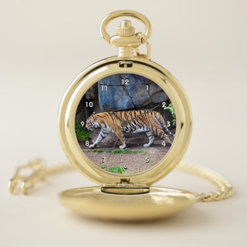 TIGER WALK POCKET WATCH