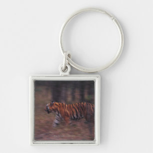Tiger Walking through Forest Keychain