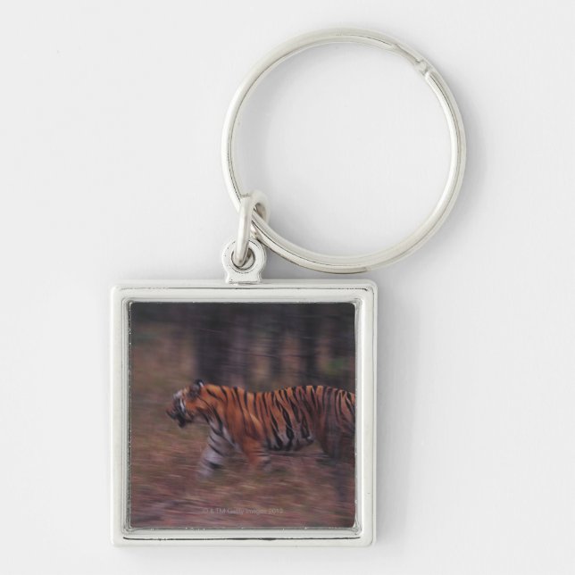 Tiger Walking through Forest Keychain (Front)