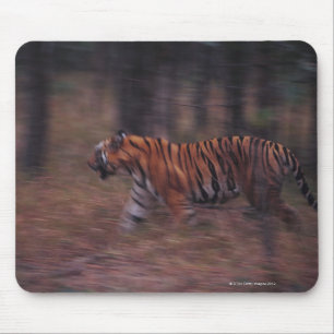 Tiger Walking through Forest Mouse Pad