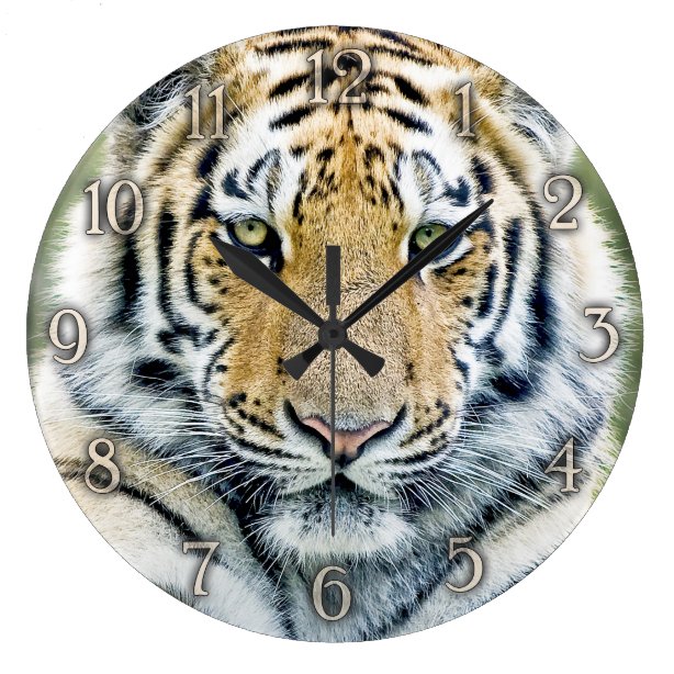 Tiger Wall Clocks Zazzle