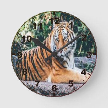 Tiger Wall Clock by JeanPittenger_7777 at Zazzle