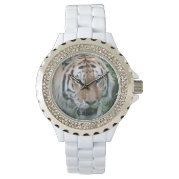 Tiger Watch by Mikeybillz at Zazzle