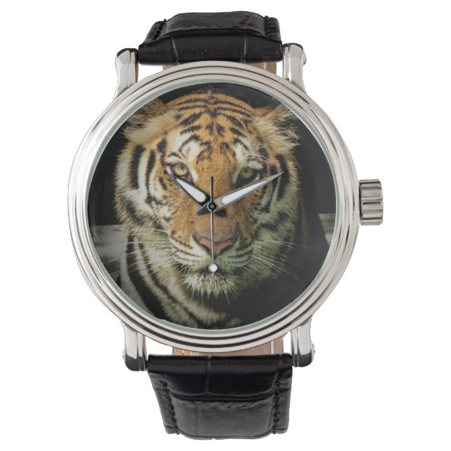 tiger watch (Front)