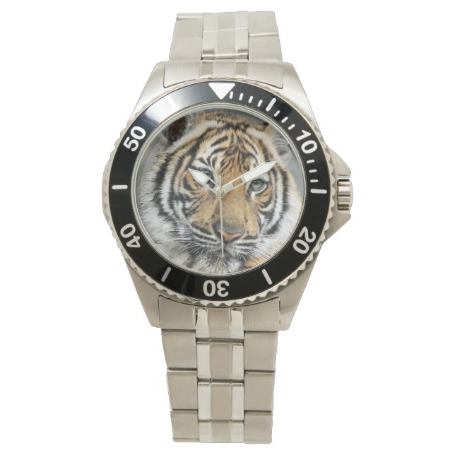 Tiger Watch (Front)