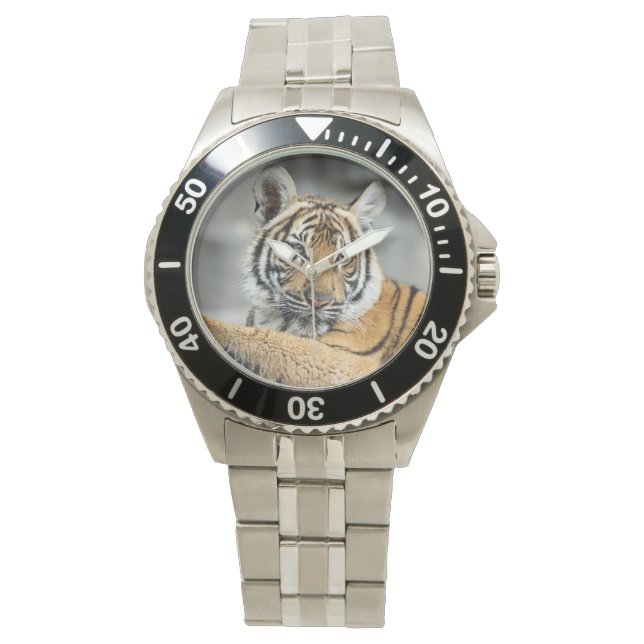 Tiger Watch (Front)