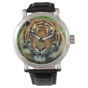 Tiger Watch