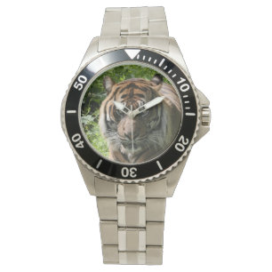 Tiger Watch
