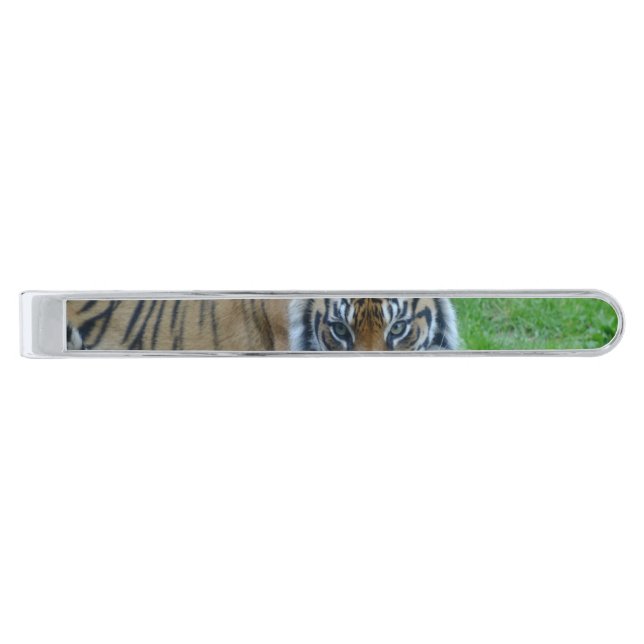 Tiger Watch Silver Finish Tie Bar (Front)