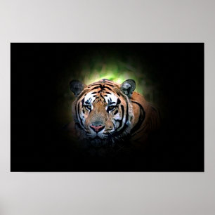 Tiger - Wild Big Cat Poster