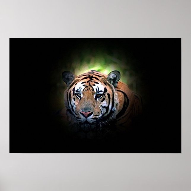 Tiger - Wild Big Cat Poster (Front)