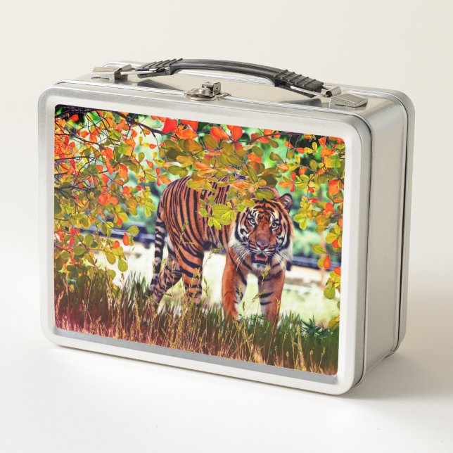 Tiger Wildlife Metal Lunch Box (Front)