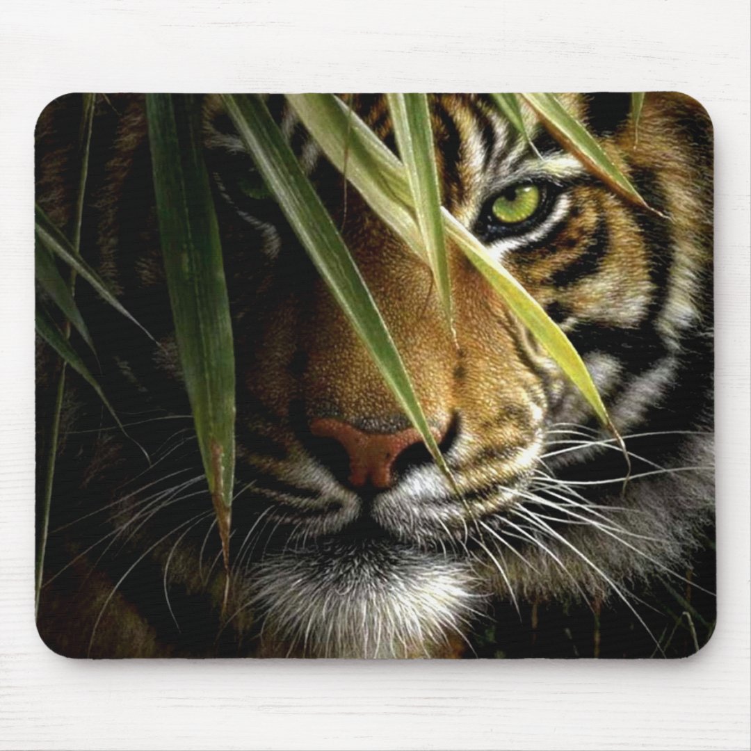 Tiger Wildlife Mousepad | Zazzle