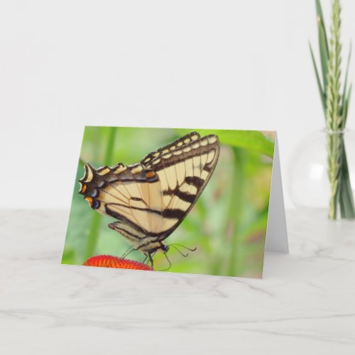 Tiger Wings _ Butterfly Holiday Card