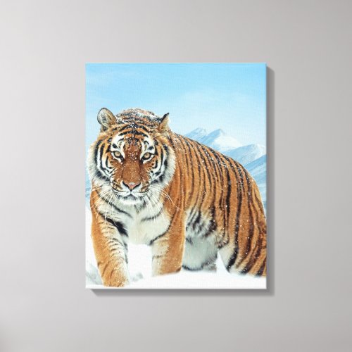 Tiger Winter Snow Mountains Nature Photo Canvas