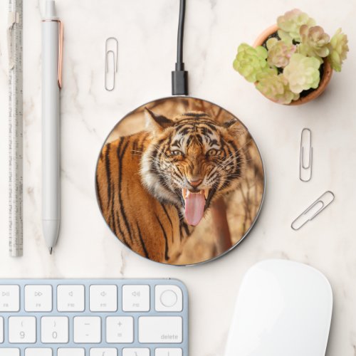 Tiger Wireless Charger