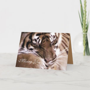 Tiger with a heart_ card