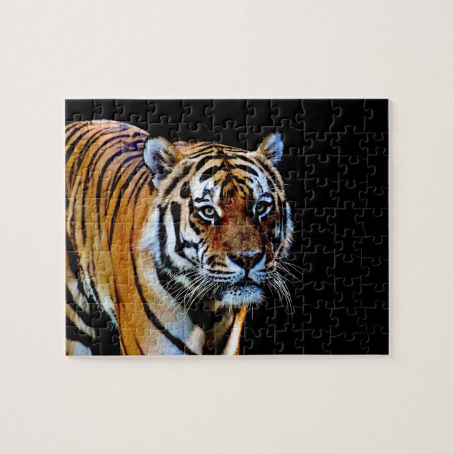 Tiger With Black Background Jigsaw Puzzle (Horizontal)