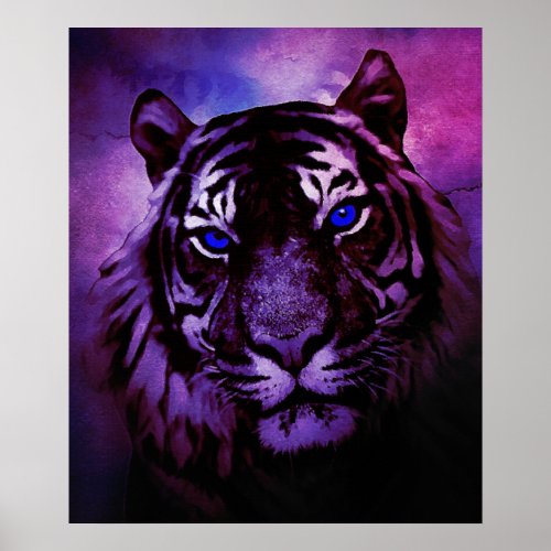 Tiger with Blue Eyes on Purple Background Poster