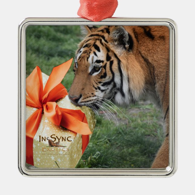 Tiger with Christmas Gift Metal Ornament (Front)