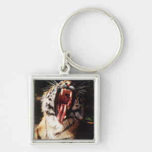Tiger with mouth open keychain