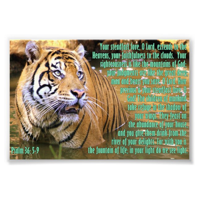 Tiger with Psalm 36:5-9 Photo Print (Front)